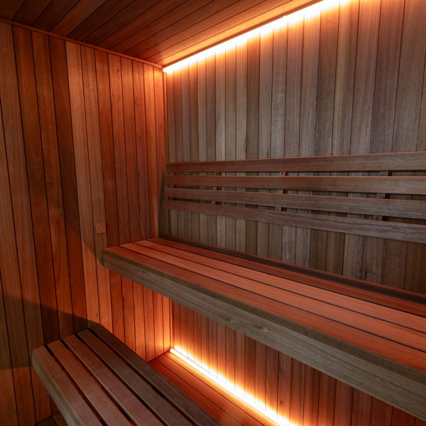 LeisureCraft CT Element Indoor Sauna